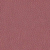 Leather Texture - 