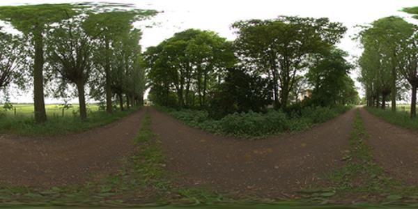 جنگل - دانلود تصویر اچ دی آر آی جنگل - تصویر با کیفیت HDRI-Download Jungle HDRI - Download HDRI - Download free hdri