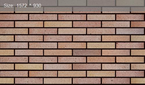 Brick20459