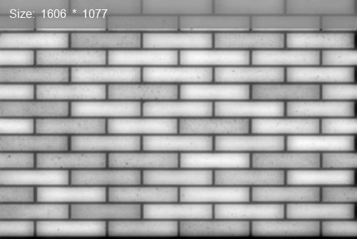 Brick20463