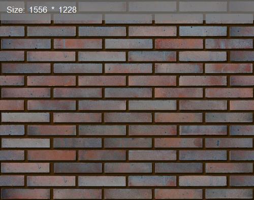 Brick20465