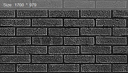 Brick20494