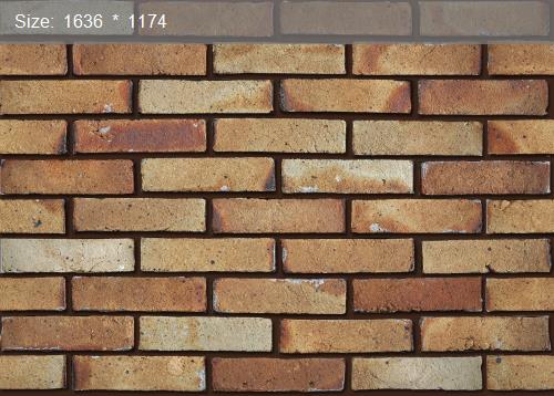 Brick20498