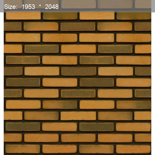 Brick20509