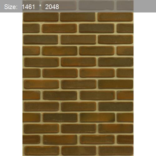 Brick20511