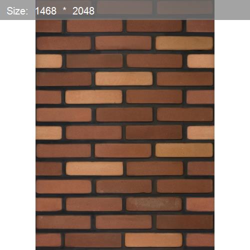 Brick20513