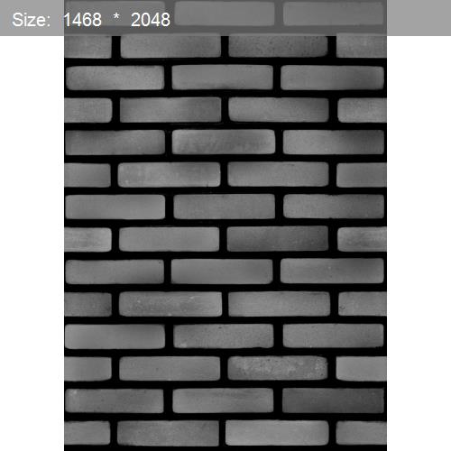 Brick20513