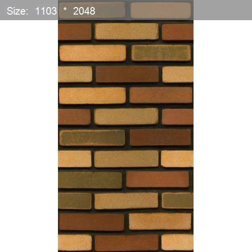 Brick20514