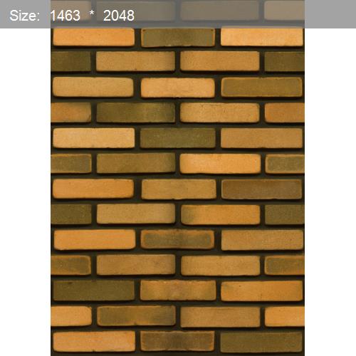 Brick20515