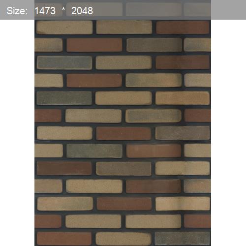 Brick20516