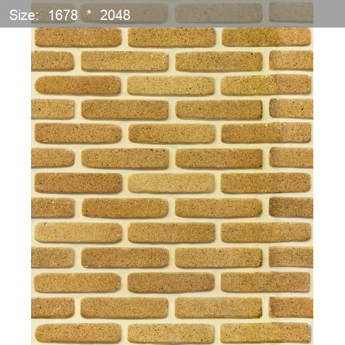 Brick20529
