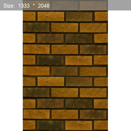 Brick20543