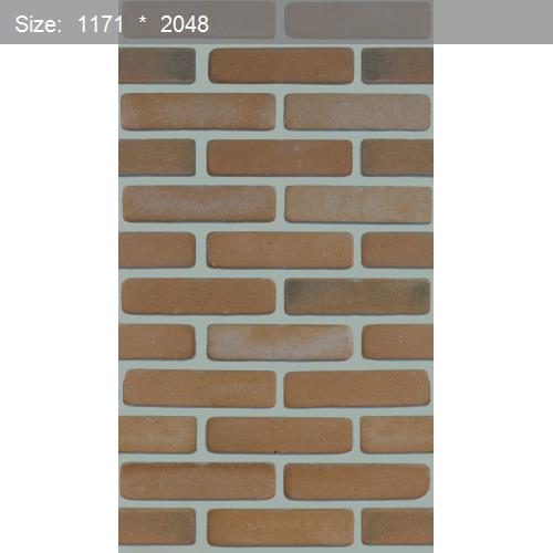 Brick20558