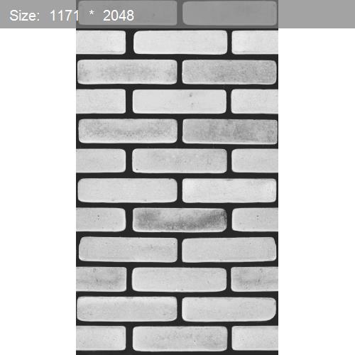 Brick20558