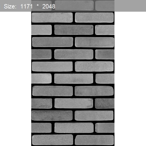 Brick20559