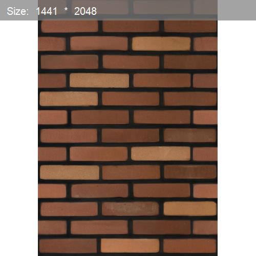 Brick20560