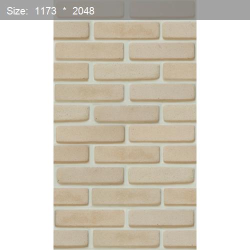 Brick20562
