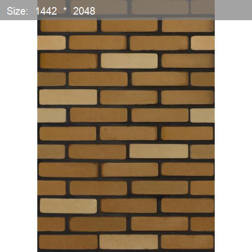 Brick20563