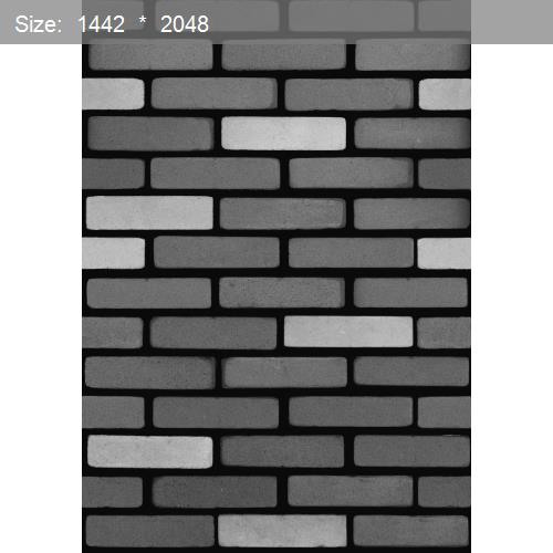 Brick20563