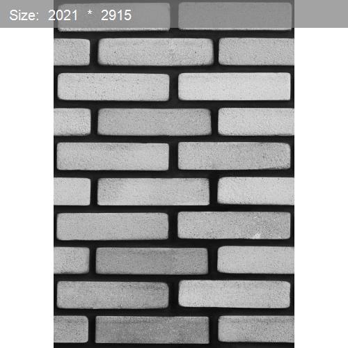 Brick20593
