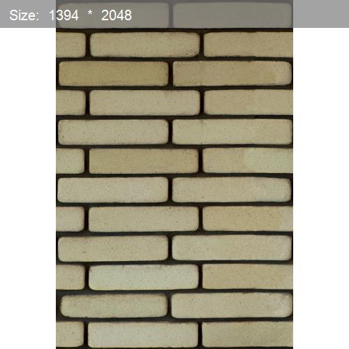 Brick20594