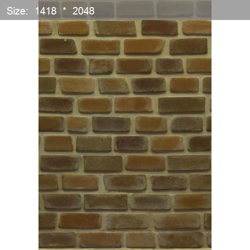 Brick20599