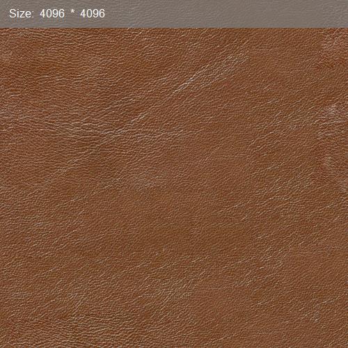 Leather29666