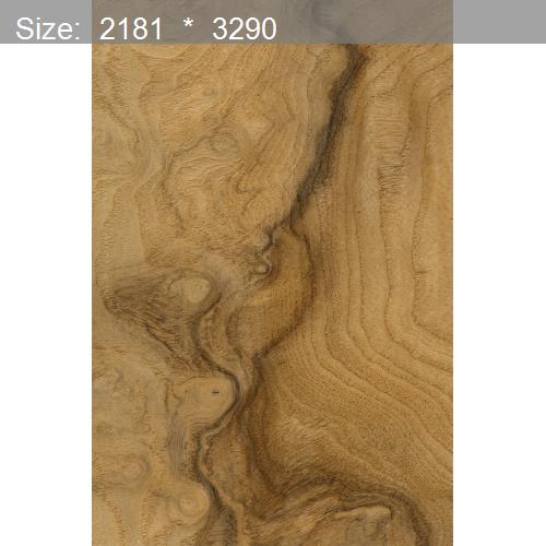 Wood26508