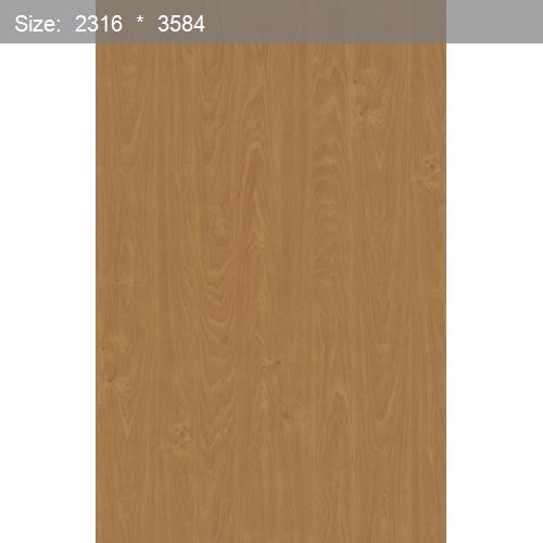 Wood26864