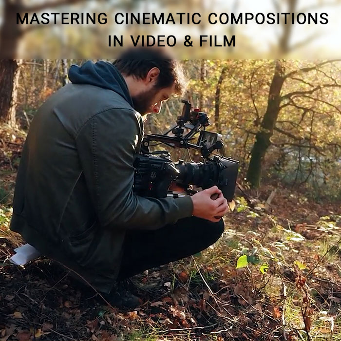 کامپوزیت سینمایی - کامپوزیشن سسینمایی - عکاسی - فیلم برداری - Cinematic Compositions - camera